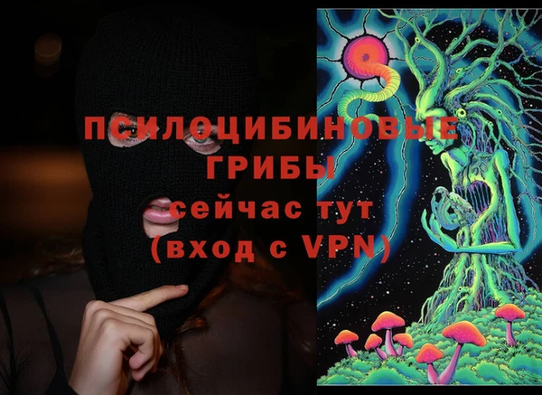 стаф Армянск